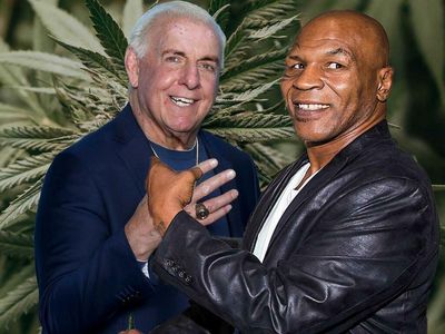 Ric Flair, Mike Tyson, Chad Bronstein: Meet All Three At Benzinga Cannabis Capital Conference As They Launch 'Ric Flair Drip'