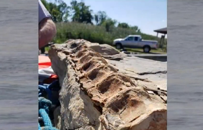 Competitive fisherman pulls 90-million-year-old fossil from the Missouri River