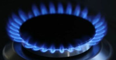 British Gas to give 10% of profits to cash-strapped households, boss promises