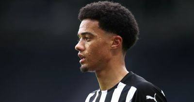Newcastle United transfer gossip as Nice target Jamal Lewis, Magpies push for Gallagher and Everton eye Almiron