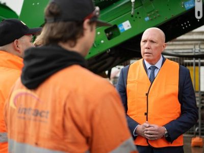 Violence prevention focus needed: Dutton