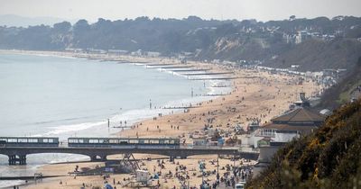 Job vacancies in Dorset hit record high threatening 'vital sectors'