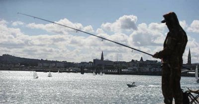 Ireland weather: Met Eireann's fantastic weekend prediction as country to bask in 23C