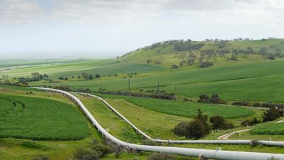 New listing of 20 threatened bird species postpone works on major SA pipeline project