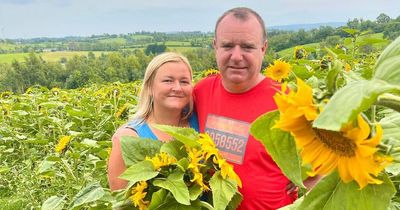 Enniskillen Sunflower field opens to raise funds for Marie Curie