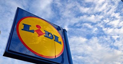 Lidl to sell smaller fruit and vegetables to support drought hit British farmers