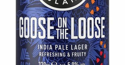 Aldi launches Goose On The Loose lager with trip to Chicago brewery on offer