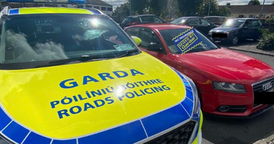 Gardai stop and seize two cars after app alert on busy day on Irish roads