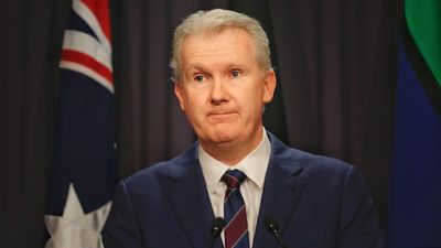 Employment Minister Tony Burke 'really interested' in multi-employer bargaining proposal as jobs summit looms