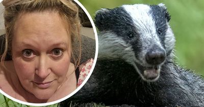 Badgers leave woman a prisoner in her own home