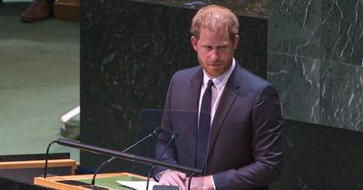 Prince Harry's book may be pushed to next year due to 'truth bomb' concerns, say sources