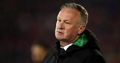 Michael O'Neill praised by Stoke City chairman following sacking