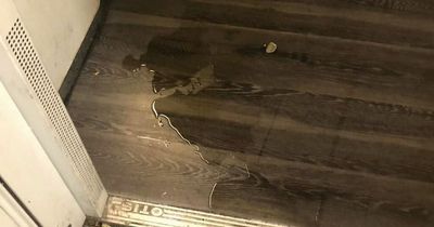 Dublin mam's disgust as puddle of urine left in lift of apartment complex