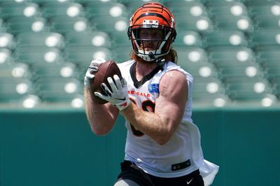 Bengals’ Hayden Hurst had wicked one-hand grab vs. Rams