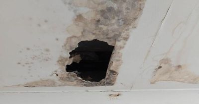 Woman left for more than a month with huge hole in her ceiling that leaks