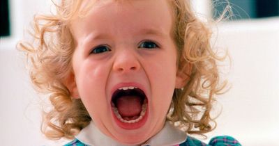 Top 'everyday emergencies' for parents - including tantrums and sibling squabbles