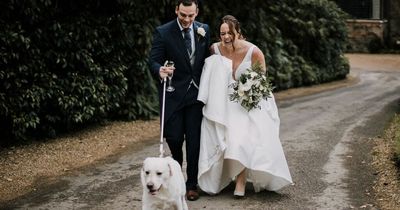 Nearly two-thirds of dog owners want to involve their pooch in their wedding day