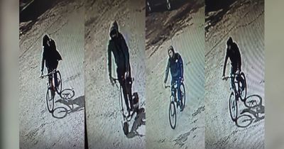 Man 'punched and kicked in the head' in 'serious' park assault - now police want to speak to these four men