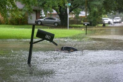 Flash flooding: Toddlers rescued, fish flop in parking lot