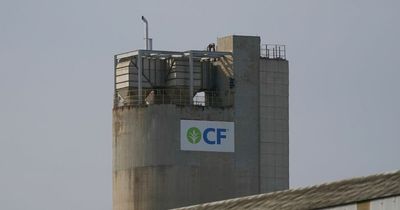 Production halted at CF Industries - the wider impact and what happens next