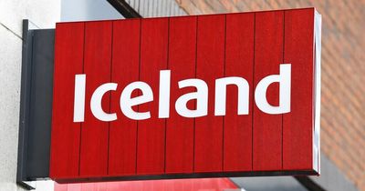 Iceland posts loss but says lower prices than Tesco and Asda will attract cash strapped shoppers