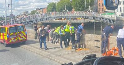 Hero thought drowning woman was dead before jumping into River Liffey to save her