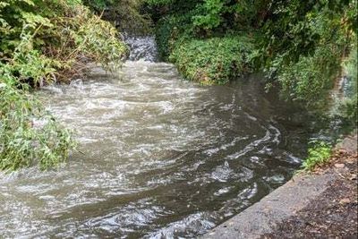 Thames tributary runs brown after ‘sewage outfall’