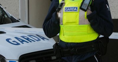 Man arrested over theft of family car after baby left on roadside in Dublin