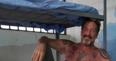 Who was John McAfee of Netflix's new documentary Running With The Devil?