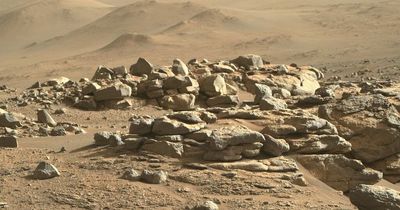 First rock samples collected from Mars in bid to understand if planet ever hosted life