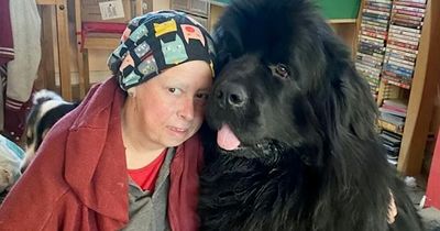 Woman says she owes her life to rescue dog who sniffed out breast cancer in right armpit