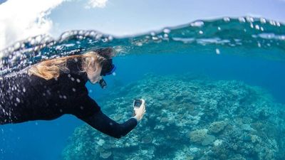 Great Barrier Reef health survey analysed using artificial intelligence, citizen science