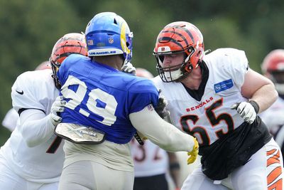 Aaron Donald swings helmet during wild Rams-Bengals practice brawl