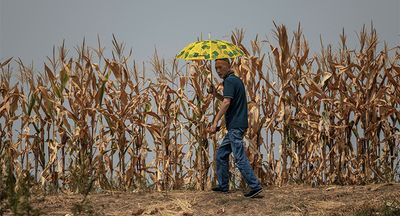 Hot and getting hotter, but China’s economy cools as drought bites