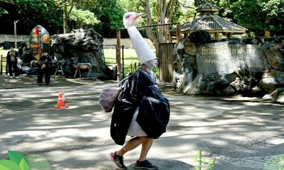 Thailand zookeeper dresses as ostrich in novel approach to training drill