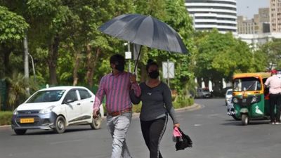 Delhi Weather: Warm morning in city, strong winds likely during daytime