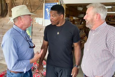 Herschel Walker skips details in bid to oust Raphael Warnock