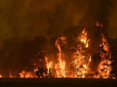 Bushfires in 2019 warmed sky like volcano