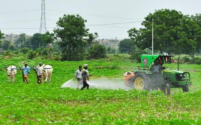 Data | How States compare in agri-production: Punjab and Haryana dominate