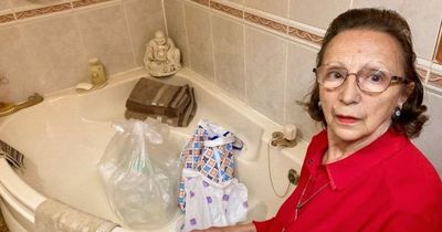 Desperate residents use own baths and hire skips to store rubbish as bin strikes hit