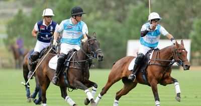 'Superstar' Prince Harry celebrates after riding to victory in US charity polo tournament