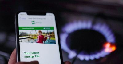 Fake Ofgem energy bill rebate scheme emails prompt warning