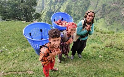 A box of apples to help Tons Valley farmers ride the storm