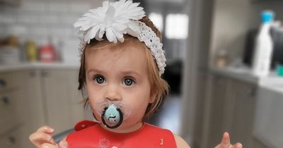 Mum left tearing hair out as tot gets family dog 'hooked' on dummies