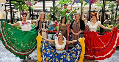 Belfast Mela Day: Full details of global cultural extravaganza of music, dance, food and art