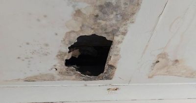 Carer living with hole in ceiling for over a month 'can't cope' after carpets soaked