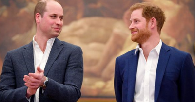 Prince William 'jumped in car to confront Harry' over Meghan bullying claims