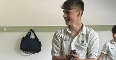 Pet Club: Teen cricketer stunned after pet hamster shows up at his game two hours away