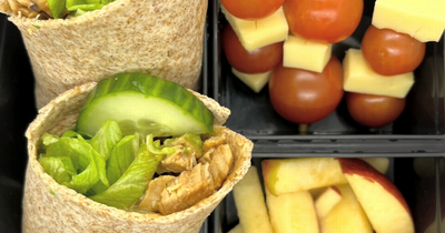 Lunch ideas for back to school that are sure to go down a treat with the kids