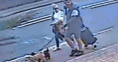 Police appeal to find couple with trolley spotted just before bones found in bin bags